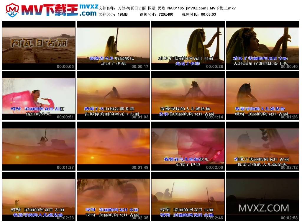 刀郎-阿瓦日古丽_国语_民歌_NAI01185